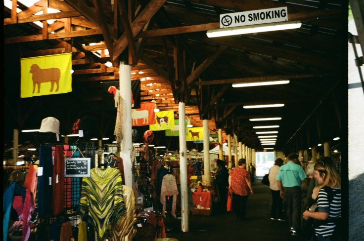 48925366766_4b62f248f6_k